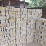 Terrastone Palm (26)