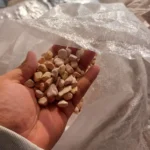 Terrastone Palm (29) (1)