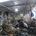 Terrastone Palm (39)